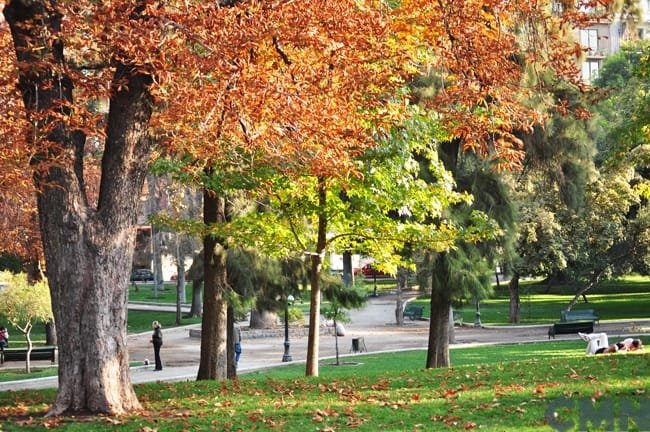 Parque Forestal