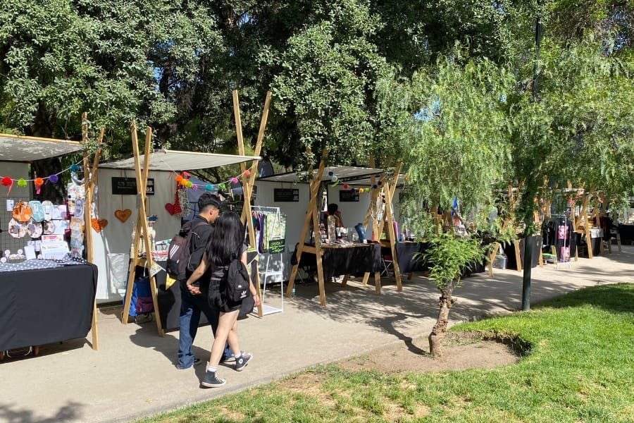 Paseo y ciclovía del parque