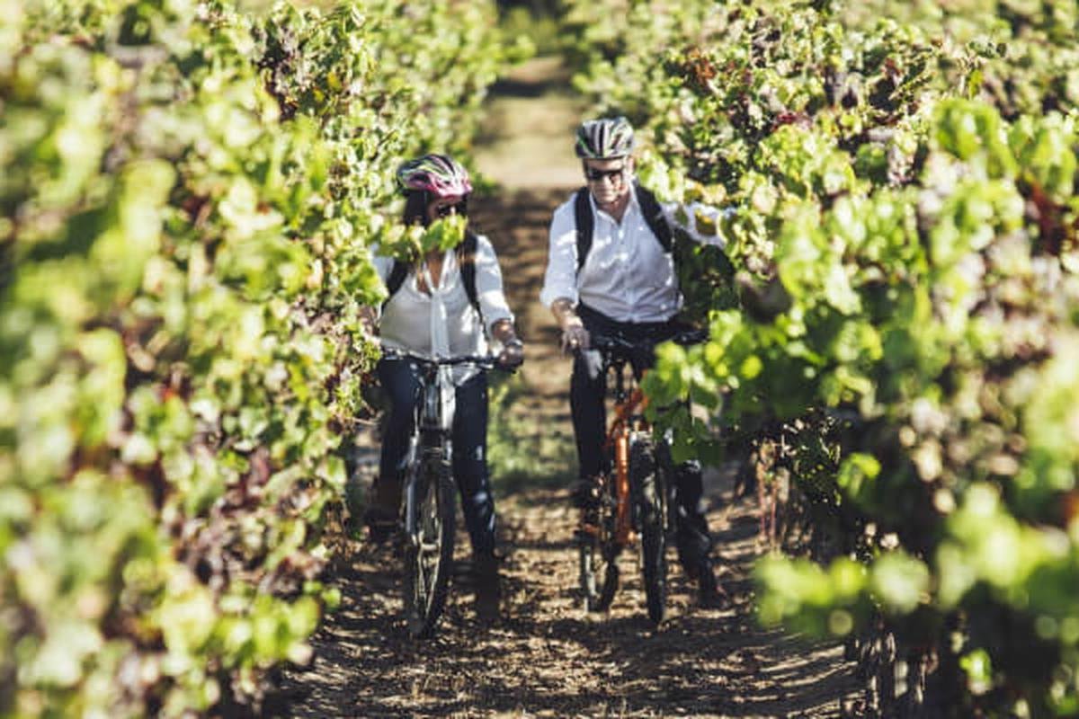 Casas del Bosque Bike Tour