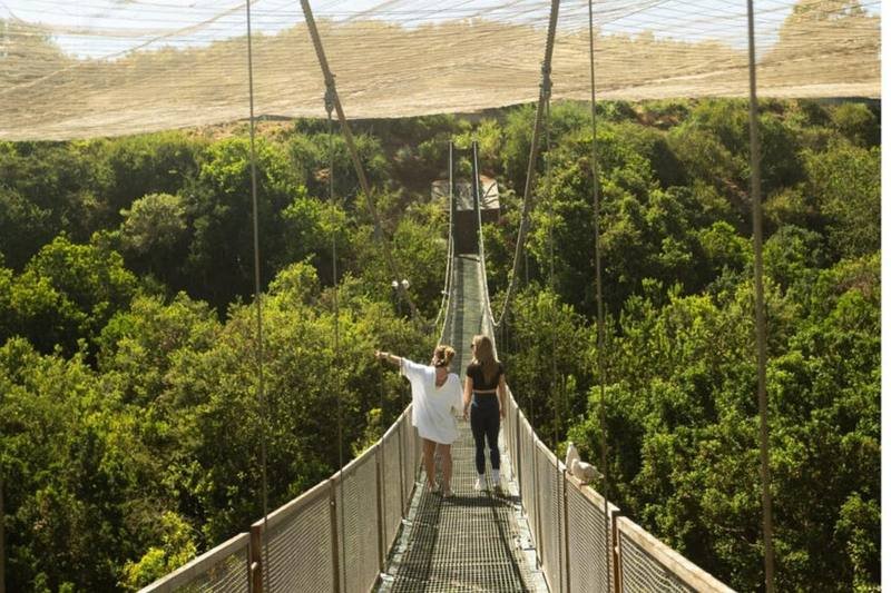 Parque Tricao Birdwatching