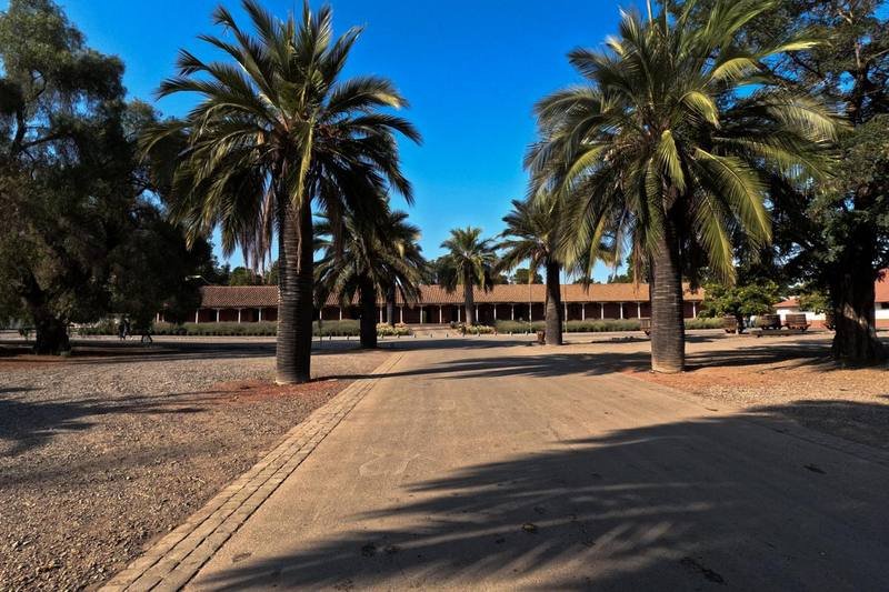 Santa Rita + Cousiño Macul: Ruta Dos Viñedos