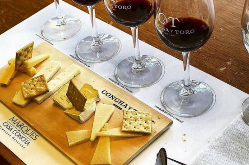 Viña Concha y Toro – Tour Marqués