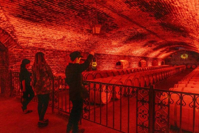 Viña Concha y Toro – Tour Nocturno